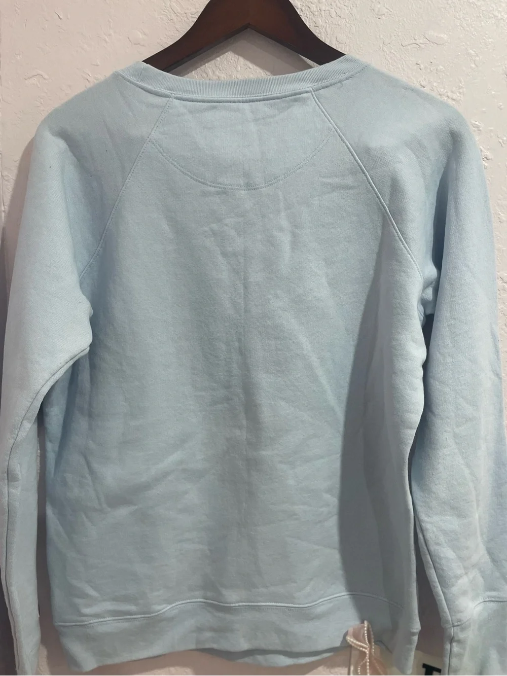 Champion Light Blue Crewneck Sweatshirt with Logo